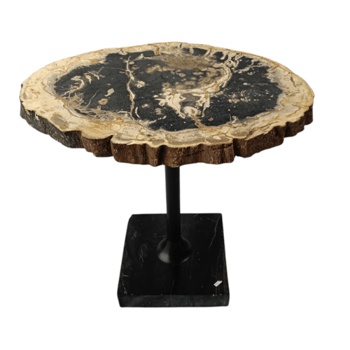 طاولة شجر متحجر