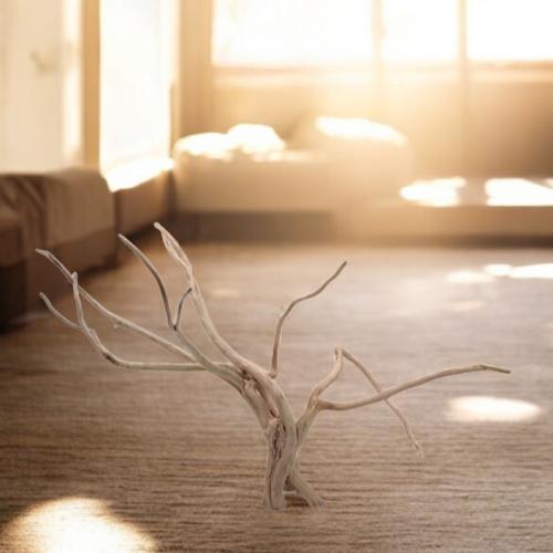 شجرة بونساي صغيرة