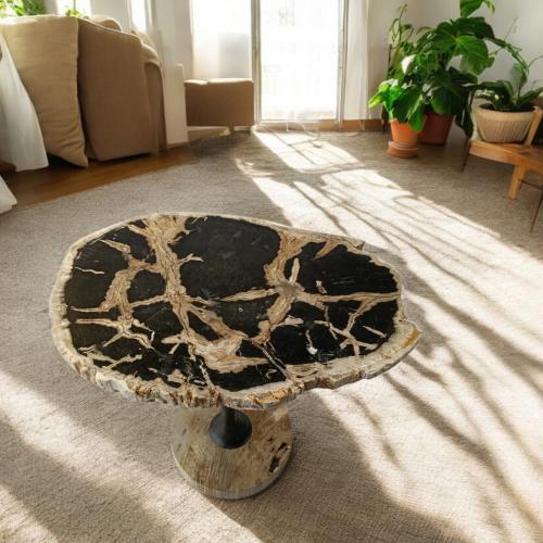 طاولة شجر متحجر