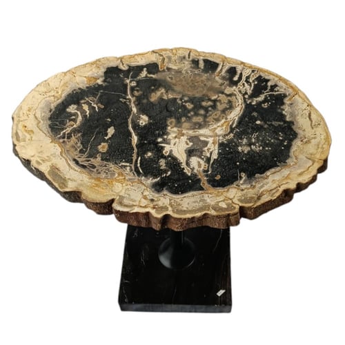 طاولة شجر متحجر