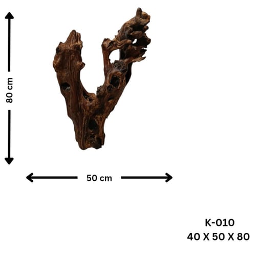 شجرة جذع الزمن