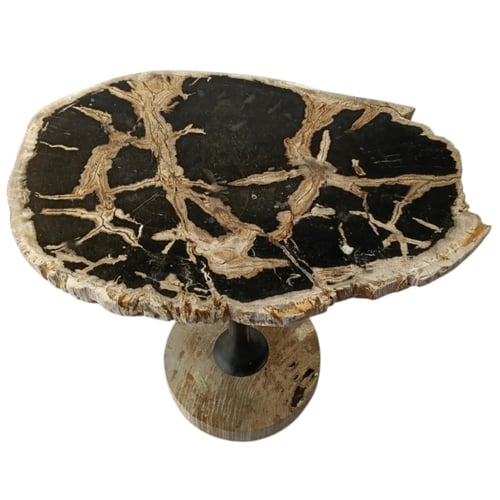 طاولة شجر متحجر