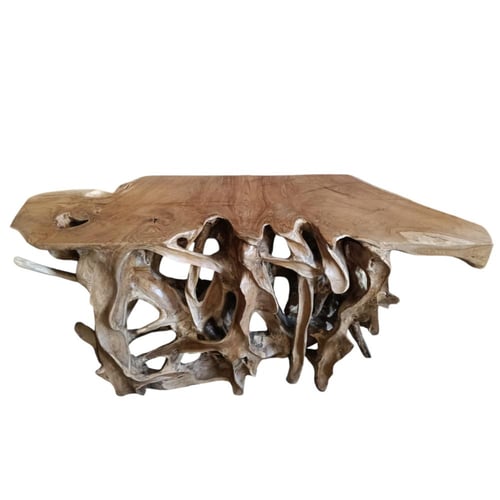 مدخل جذع خشب طبيعي