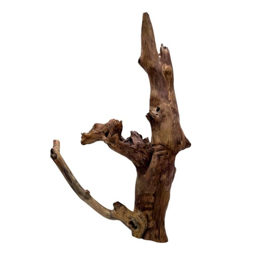 منحوتة الأمل