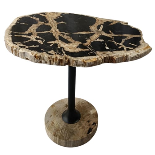 طاولة شجر متحجر