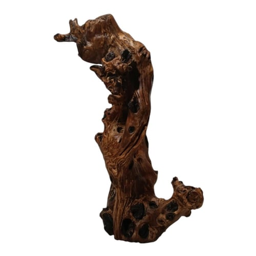 شجرة جذع الزمن