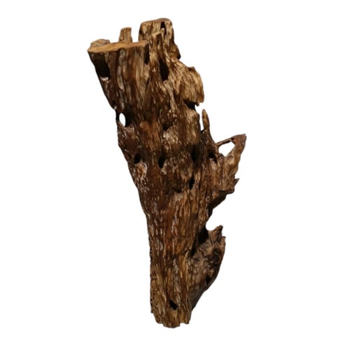 تحفة خشبية "اسطورة الغابة"