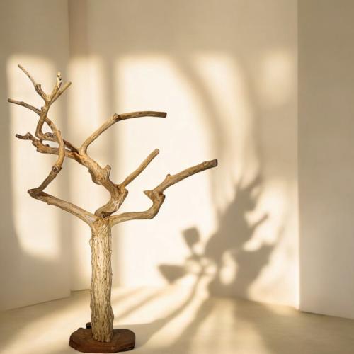 شجرة القهوة