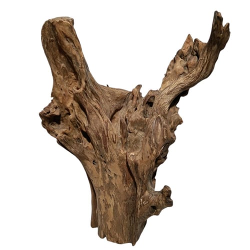 تحفة خشبية تاج الغابة