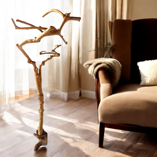 شجرة القهوة