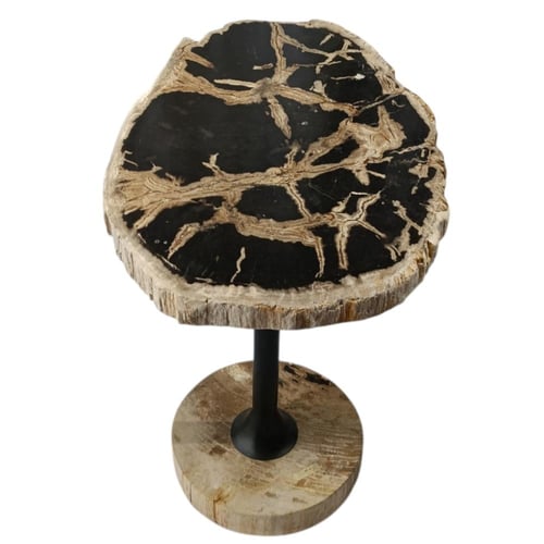 طاولة شجر متحجر