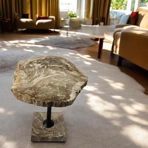 طاولة شجر متحجر