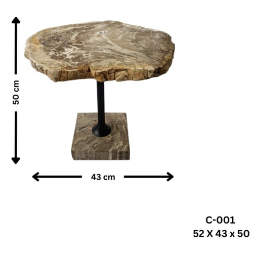 طاولة شجر متحجر