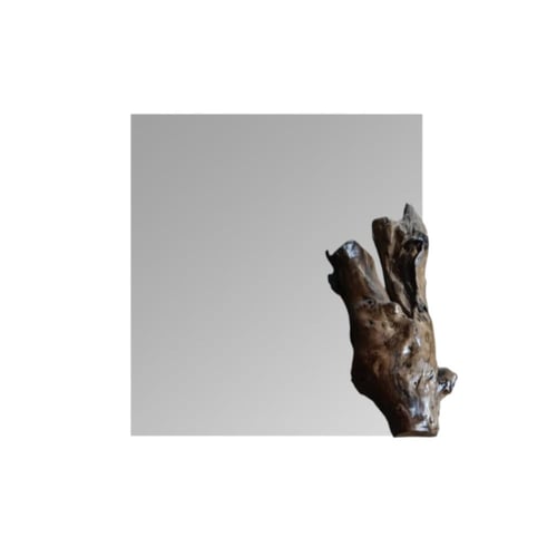 مرايا خشبية بجذع شجرة