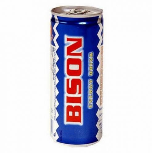 كرتون بايسن