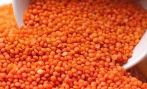 عدس احمر