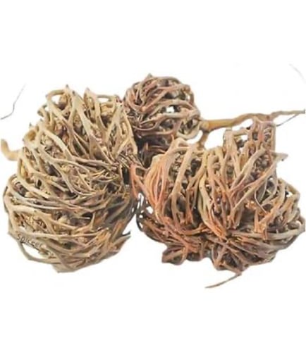 عشبة كف مريم