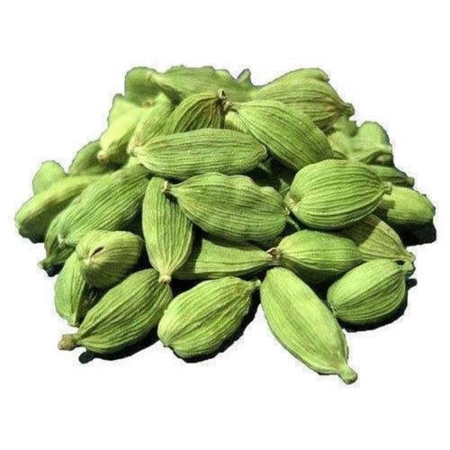 هيل امريكي جامبو 1