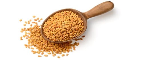 حلبة القصيم