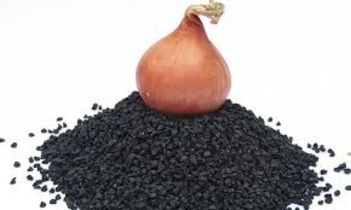 بذور البصل
