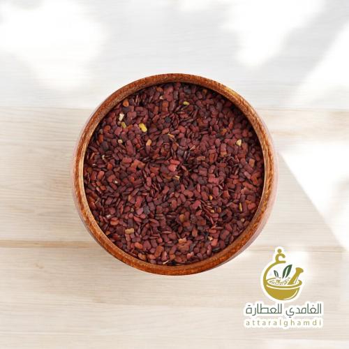 حلبة الخيل