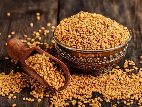 حلبة القصيم