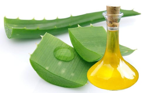 زيت الصبار