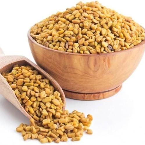 حلبة القصيم