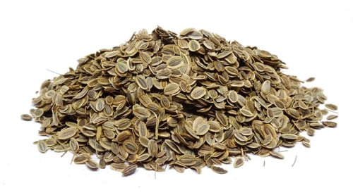 بذور الشبت او عين الجراده