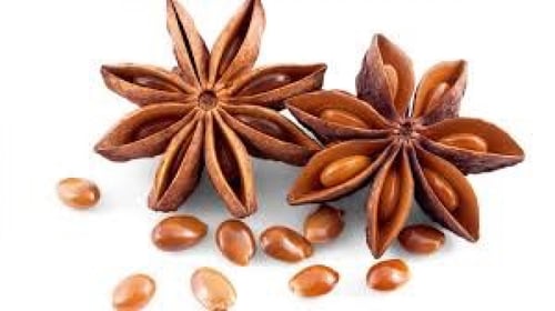 نجمة اليانسون