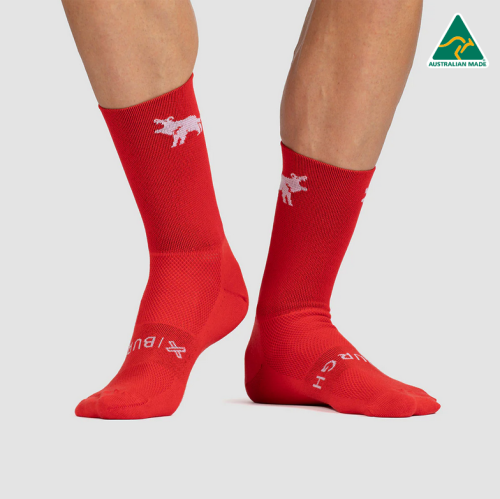 شراب باللون الأحمر من بروغ BURGH RED SOCKS