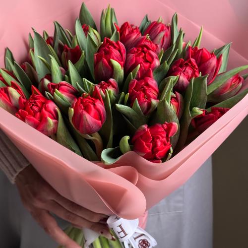 باقة (توليب احمر)