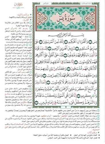 ربع ياسين (A4) كرتون (50 نسخة)