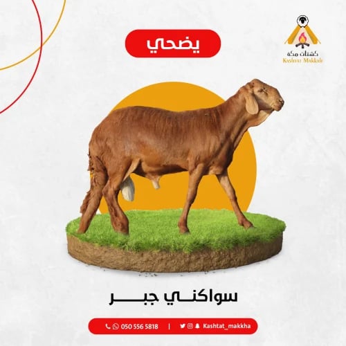 سواكني جبر