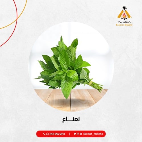 نعناع