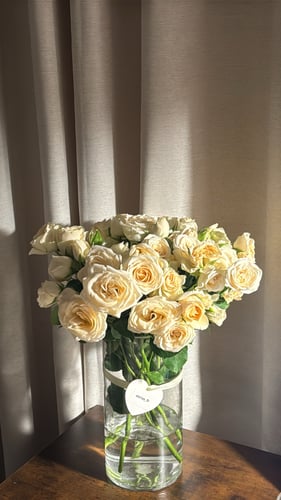 فازه ورد بيبي روز