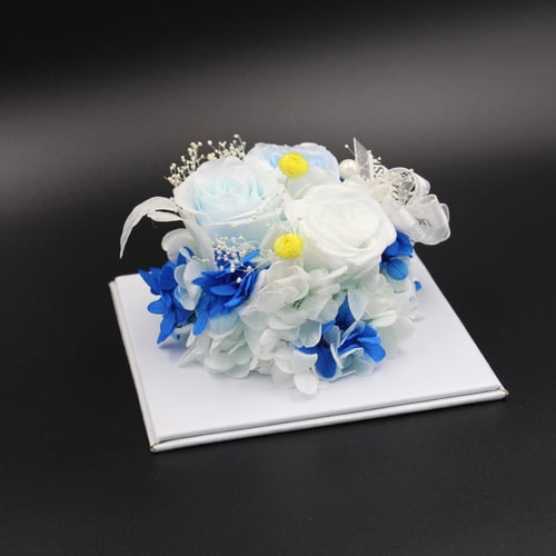 نبات زينة مجفف في قالب اكليرك