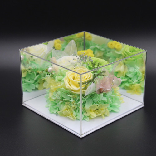 نبات زينة مجفف في قالب اكليرك