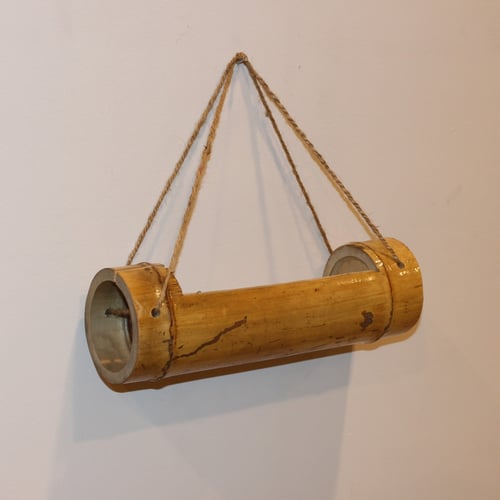 تعليقة بامبو