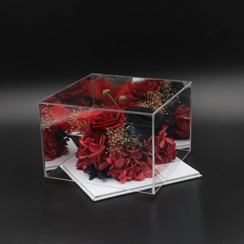 نبات زينة مجفف في قالب اكليرك