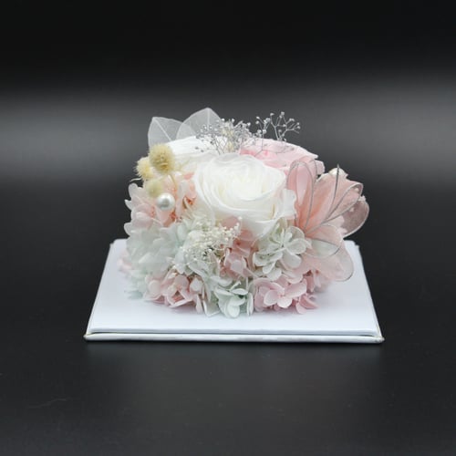 نبات زينة مجفف في قالب اكليرك