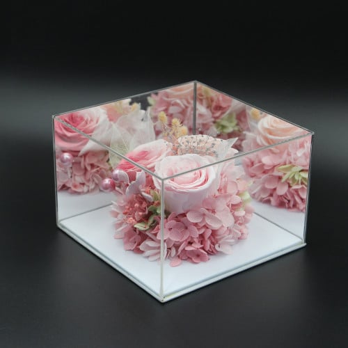 نبات زينة مجفف في قالب اكليرك