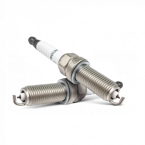 بواجي كورلا أصلي