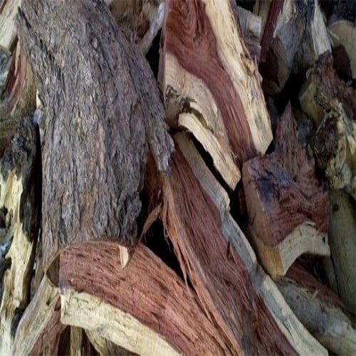 طلح الشاف كيلو