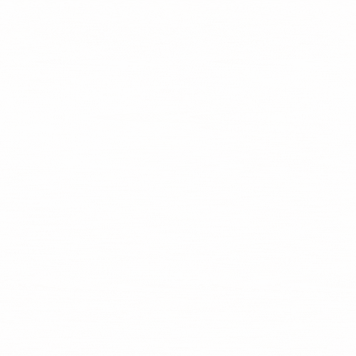 معمول العرائس 300xx