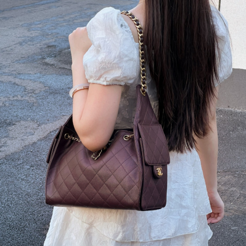 حقيبة شانيل هوبو مقاس صغير Chanel Hobo 25 Small