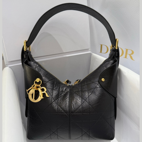 شنطة Dior Voyage الحجم الصغير