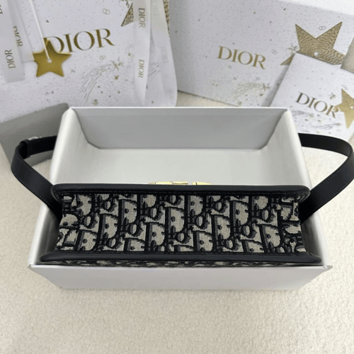 حقيبة ديور مونتين 30 Dior 30 Montaigne bag