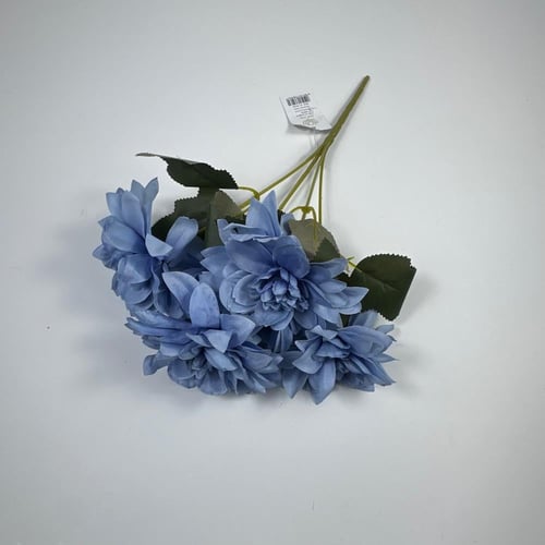 ورد بيبي داليا