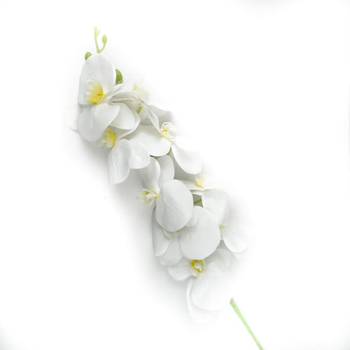 اوركيد صناعي